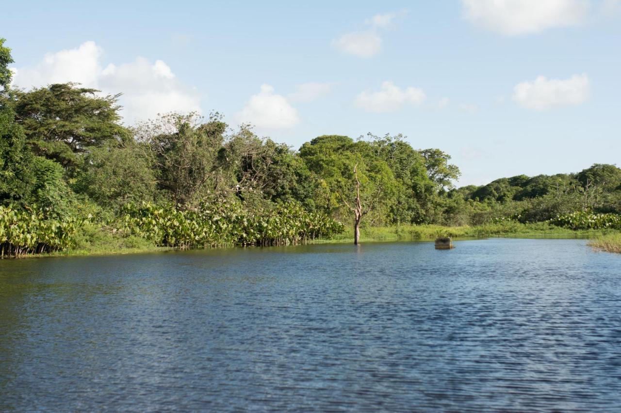 Rio Das Garças Eco Resort Sao Jose de Mipibu Exterior foto